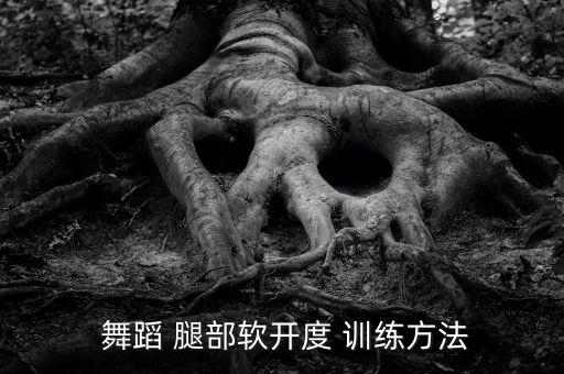  舞蹈 腿部软开度 训练方法