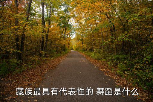  藏族最具有代表性的 舞蹈是什么