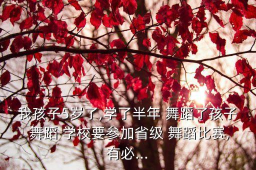我孩子5岁了,学了半年 舞蹈了孩子 舞蹈 学校要参加省级 舞蹈比赛,有必...