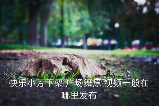 快乐小芳下架 广场舞原 视频一般在哪里发布