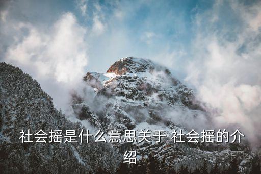  社会摇是什么意思关于 社会摇的介绍