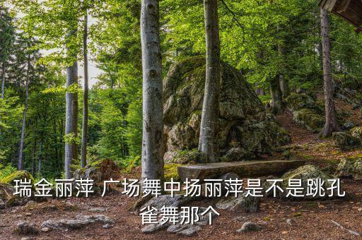 白族广场舞蹈视频大全,自力更生，丰衣足食与杨丽萍同场跳舞