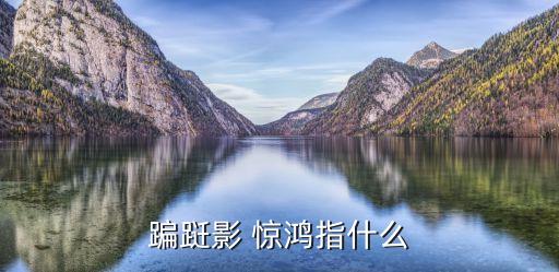 蹁跹影 惊鸿指什么