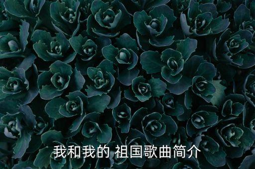 我和我的 祖国歌曲简介