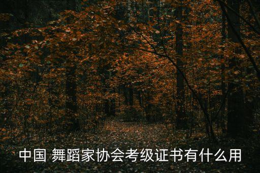 中国 舞蹈家协会考级证书有什么用
