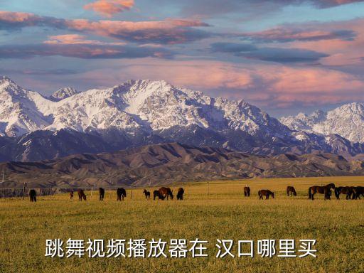 跳舞视频播放器在 汉口哪里买