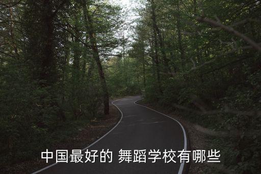 中国最好的 舞蹈学校有哪些
