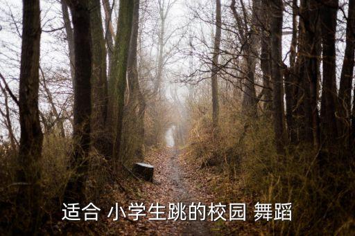 适合 小学生跳的校园 舞蹈