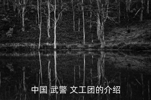 武警文工团舞蹈视频,中国武警文工团始终坚持三合一方向