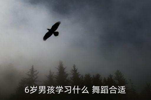 6岁男孩学习什么 舞蹈合适