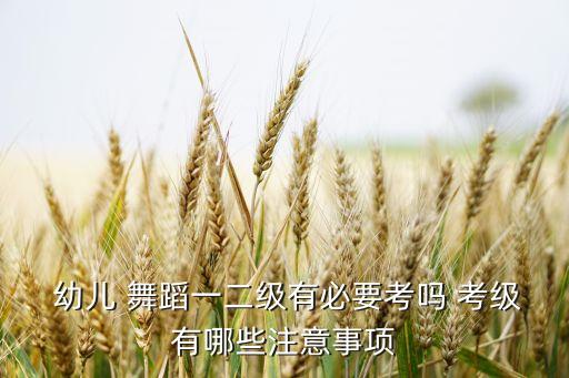  幼儿 舞蹈一二级有必要考吗 考级有哪些注意事项