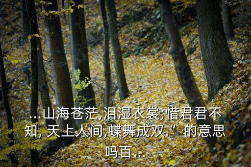 天上人间舞蹈教学视频,祝英台新版主打歌:雨水打在眼睛上