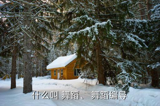 舞蹈编制是什么,舞蹈编导是舞蹈创作者和演出组织者