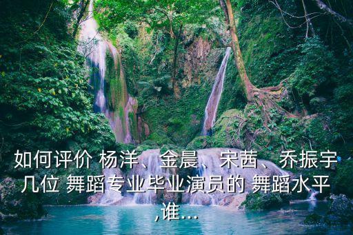 杨洋舞蹈什么级别,中国舞蹈家杨洋的成长历程