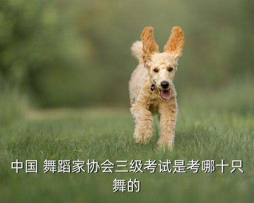 二级舞蹈数星星,舞蹈家协三级考试要求:考生须穿统一衣服鞋袜