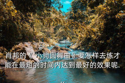 小狗歌曲舞蹈视频,学前教育动画片《汪汪队的丰功伟绩》热播