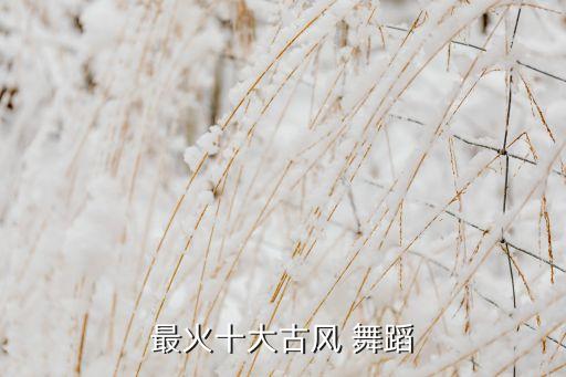 最红舞蹈,唐代最流行民族舞蹈:胡玄武羽毛舞