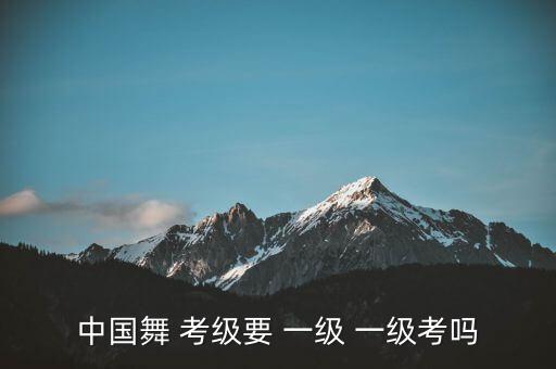 中国舞 考级要 一级 一级考吗