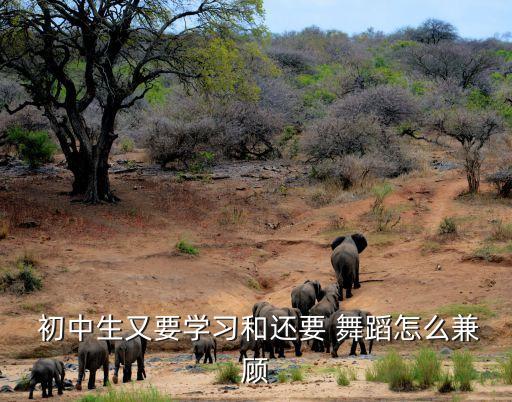  初中生又要学习和还要 舞蹈怎么兼顾