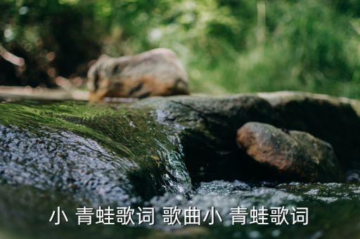 小青蛙歌曲舞蹈视频,小青蛙与孔雀哥比赛演唱时尚歌曲