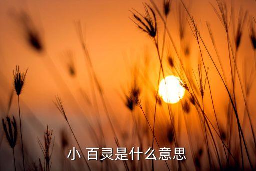 舞蹈百灵是什么,百灵鸟是草原上的代表鸟类属小型鸣禽