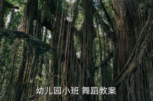 幼儿园小班 舞蹈教案