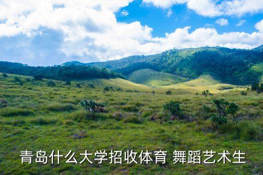 青岛 舞蹈 本科,青岛舞蹈学院芭蕾、国标、中国舞三专业招生