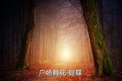 舞蹈花蝴蝶下载,广场舞花蝴蝶:你就像那朵蝴蝶