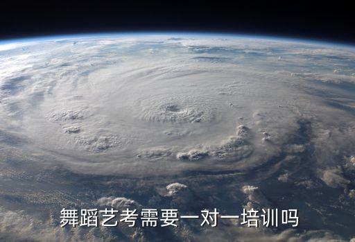  舞蹈艺考需要一对一培训吗