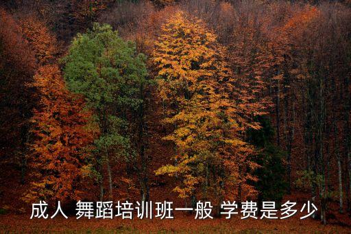 成人 舞蹈培训班一般 学费是多少