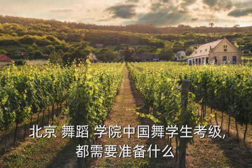 北京舞蹈学院十级穿手,中国考舞蹈考十级有用吗?
