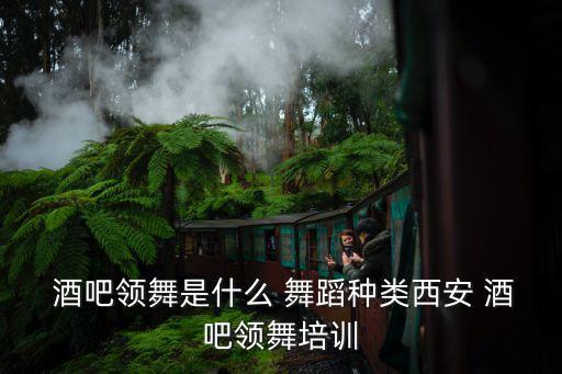  酒吧领舞是什么 舞蹈种类西安 酒吧领舞培训