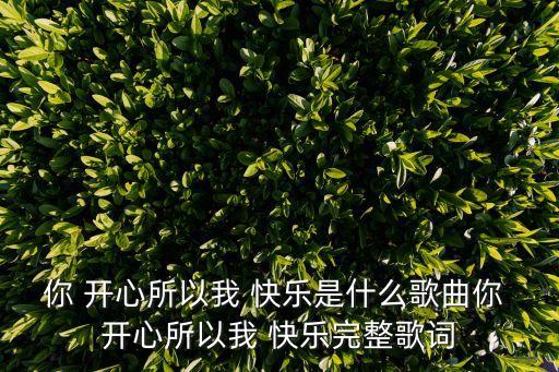你 开心所以我 快乐是什么歌曲你 开心所以我 快乐完整歌词