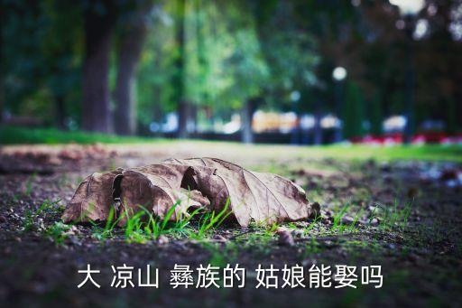 大 凉山 彝族的 姑娘能娶吗