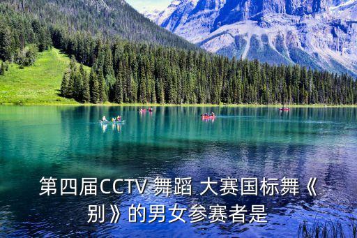 cctv舞蹈大赛男子,第三届中国艺术节拉丁舞蹈团获奖