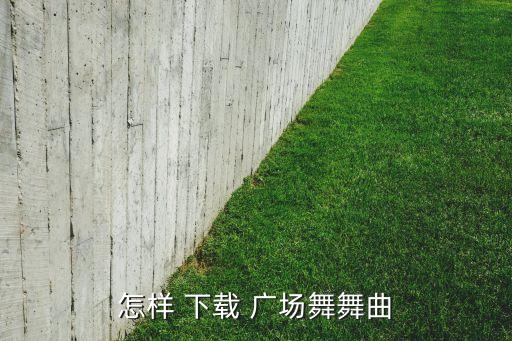糖豆广场舞下载舞蹈屋,免费广场舞蹈视频下载: