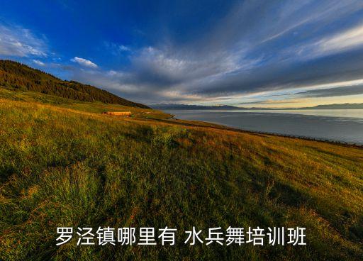 罗泾镇哪里有 水兵舞培训班