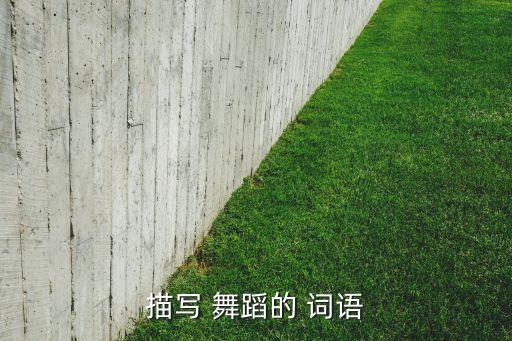 描写 舞蹈的 词语