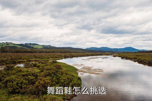 摩登舞蹈鞋贝帝牌,雷波音乐鞋子分为男款女款