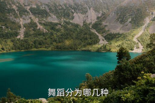 舞蹈的专业分类,四种分类art舞蹈被列为本地四大舞蹈类别