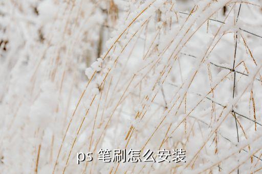 ps 笔刷怎么安装