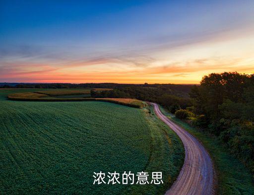 浓浓浓舞蹈,关于浓的中国民族舞
