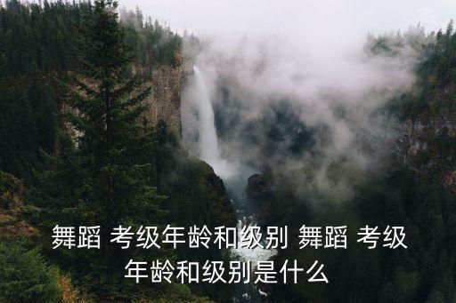 九级舞蹈考级情绪2,舞蹈学院招生简介