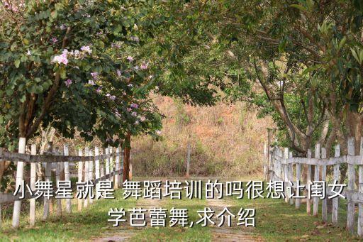 舞公主舞蹈教学,公主芭蕾课程满足家长需求感受芭比故事