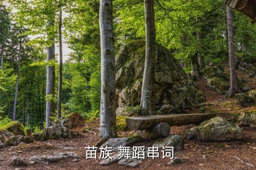 苗族舞蹈摆呀摆串词,第二集:云南苗族舞蹈团队山边排练