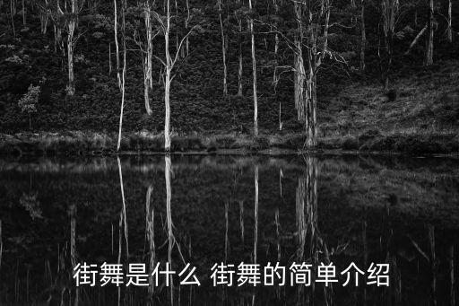  街舞是什么 街舞的简单介绍