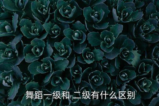  舞蹈一级和 二级有什么区别