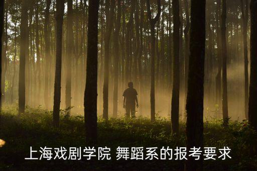 上戏舞蹈系 进修,上戏报到