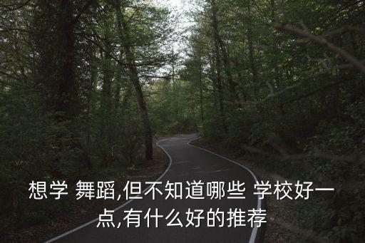 想学 舞蹈,但不知道哪些 学校好一点,有什么好的推荐
