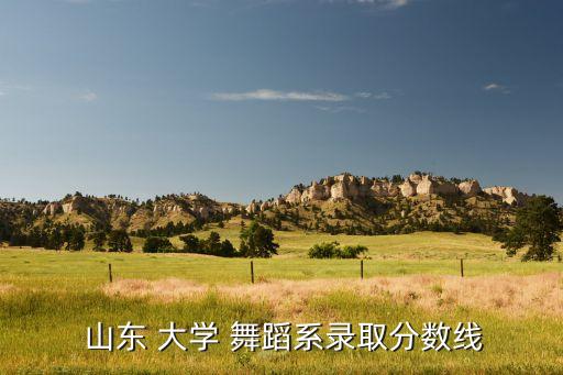  山东 大学 舞蹈系录取分数线